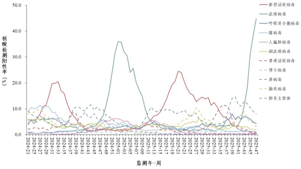 流感高峰期疾控监督工作实施指引
